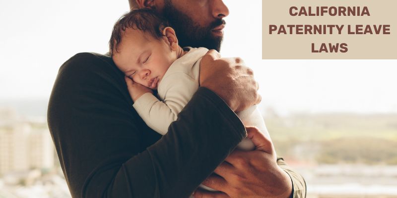 california paternity leave laws